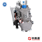 China Fuel Injection Pump BHM6P120YAY170 for Weichai for WD615.61AG26 Sinotruck engine fuel injection pump